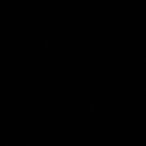 Meet your Posher, Avery